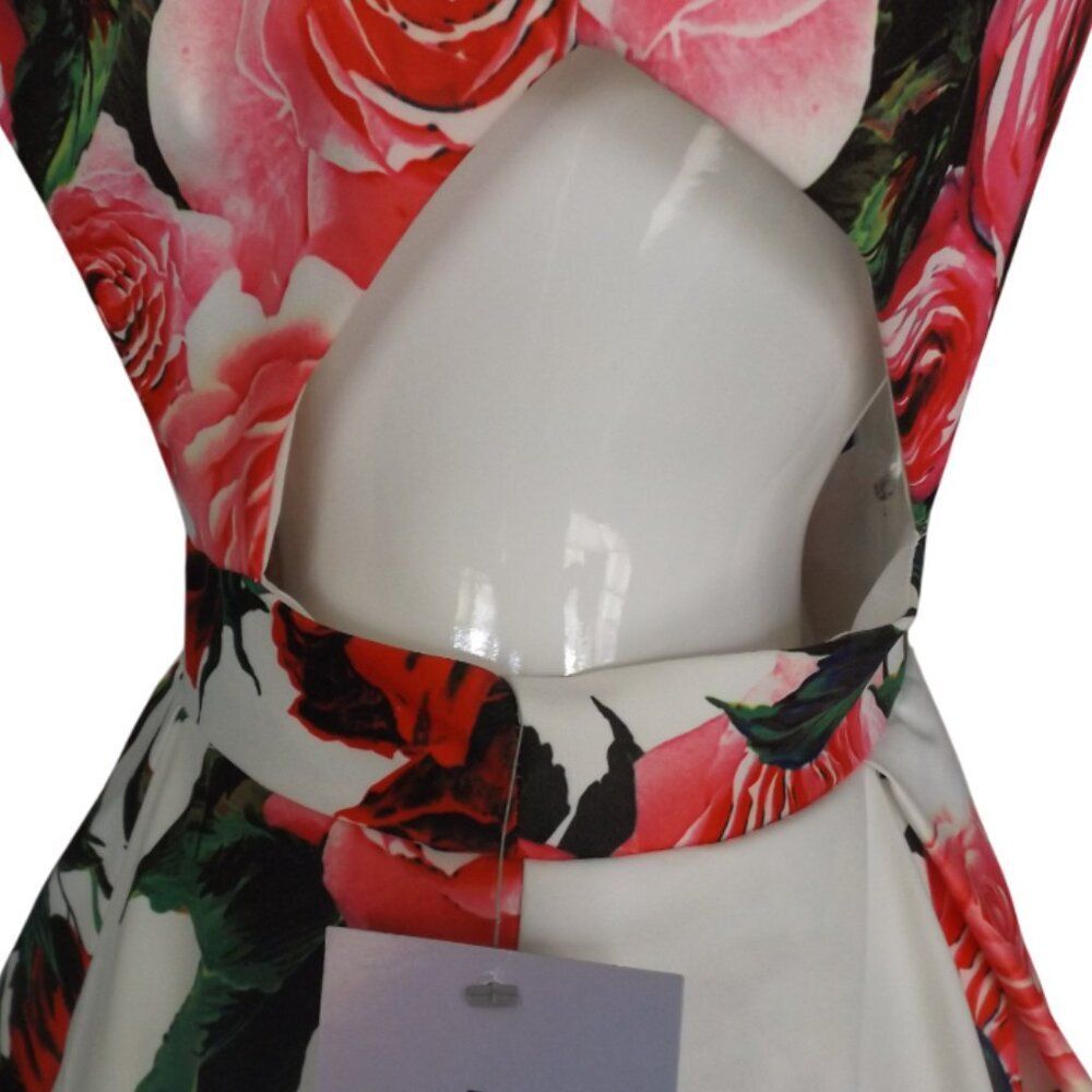 JVN BY JOVANI Gown/Dress, 8, White/Red-pink Roses, Side Cut out, Full Skirt - Picture 10 of 15